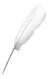 Feather.jpg (1963 bytes)