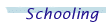 menu_school.gif (999 bytes)